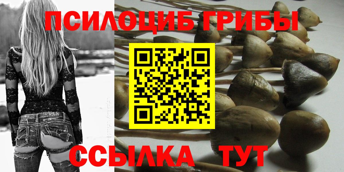 Галлюциногенные грибы Psilocybe  хочу   Иваново  Вход с VPN 